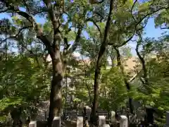 伊勢の国 四天王寺の景色