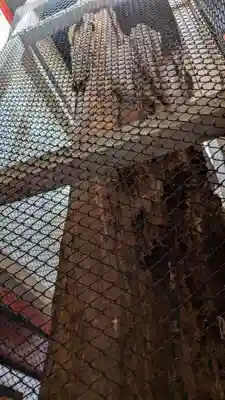 旭山立木大師堂の本殿・本堂