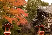 十輪寺(京都府)