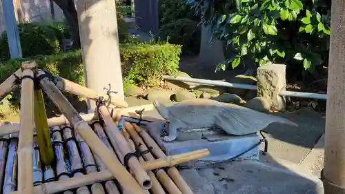 亀戸天神社の手水舎