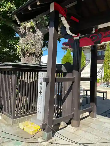 真明寺(東京都)
