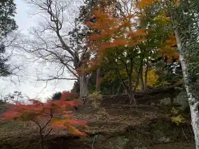 瑞巌寺(宮城県)