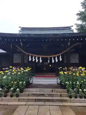 峯ヶ岡八幡神社(埼玉県)