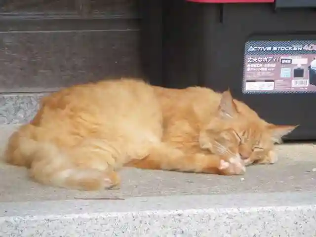 矢田寺(奈良県)