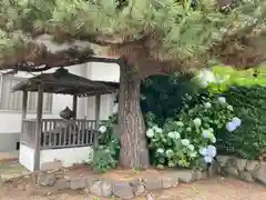 正護寺(兵庫県)