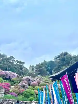 塩船観音寺の{uncategorized: "未分類", other: "その他", undefined: "問題あり", building: "その他建物", grave: "お墓", sacred_gate: "鳥居", guardian: "狛犬", statue: "像", buddha: "仏像", history: "歴史", nature: "自然", garden: "庭園", animal: "動物", pagoda: "塔", temizu: "手水舎", mountain_gate: "山門・神門", sanctuary: "本殿・本堂", subordinate: "末社・摂社", art: "芸術", scenery: "景色", jizo: "地蔵", ema: "絵馬", goshuin: "御朱印", omikuji: "おみくじ", items: "授与品その他", amulet: "お守り", goshuincho: "御朱印帳", eats: "食事", festival: "お祭り", votive_dance: "神楽", shichigosan: "七五三参", wedding: "結婚式", experience: "体験その他", initially: "初詣", around: "周辺", anti_infection: "感染症対策"}