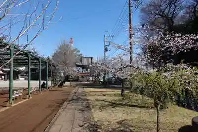 慈恩寺(埼玉県)