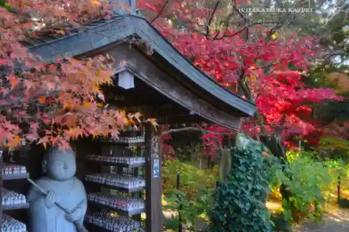 本土寺(千葉県)