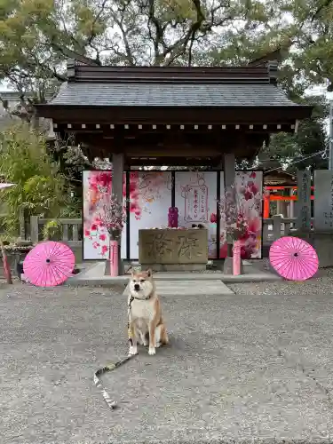 大御和神社の{uncategorized: "未分類", other: "その他", undefined: "問題あり", building: "その他建物", grave: "お墓", sacred_gate: "鳥居", guardian: "狛犬", statue: "像", buddha: "仏像", history: "歴史", nature: "自然", garden: "庭園", animal: "動物", pagoda: "塔", temizu: "手水舎", mountain_gate: "山門・神門", sanctuary: "本殿・本堂", subordinate: "末社・摂社", art: "芸術", scenery: "景色", jizo: "地蔵", ema: "絵馬", goshuin: "御朱印", omikuji: "おみくじ", items: "授与品その他", amulet: "お守り", goshuincho: "御朱印帳", eats: "食事", festival: "お祭り", votive_dance: "神楽", shichigosan: "七五三参", wedding: "結婚式", experience: "体験その他", initially: "初詣", around: "周辺", anti_infection: "感染症対策"}