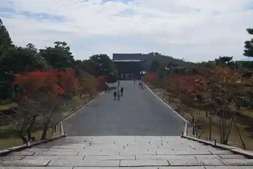 仁和寺の景色