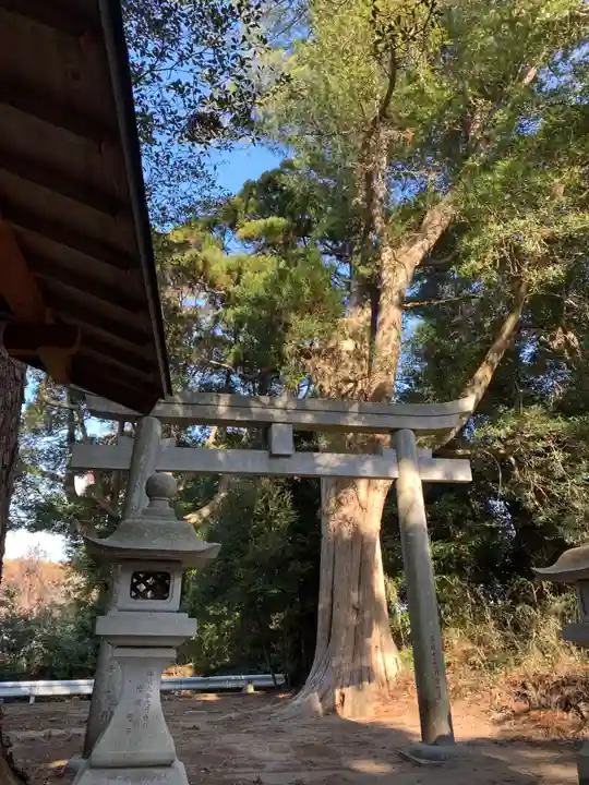 白幡神社(千葉県)