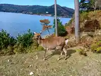 金華山黄金山神社(宮城県)