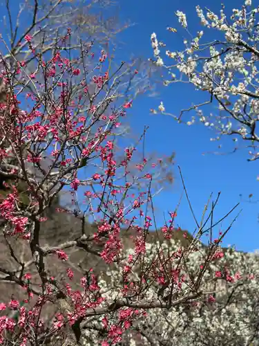 長谷寺(神奈川県)