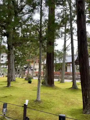 瑞巌寺(宮城県)