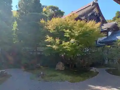 御寺 泉涌寺(京都府)