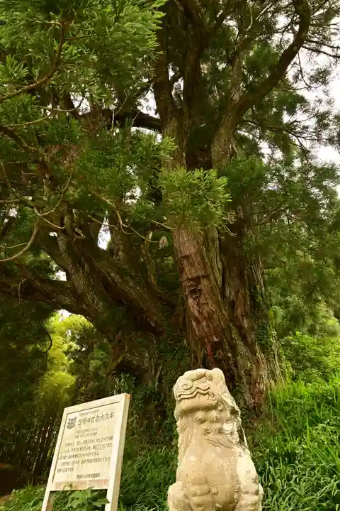 五所神社(徳島県)