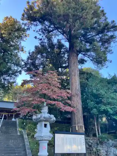 中氷川神社(埼玉県)