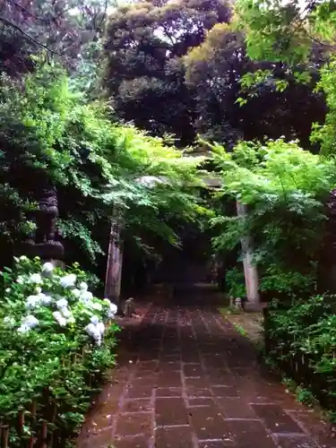 赤坂氷川神社(東京都)