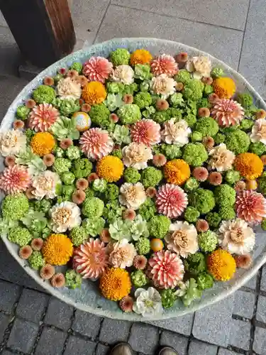 行田八幡神社の手水舎