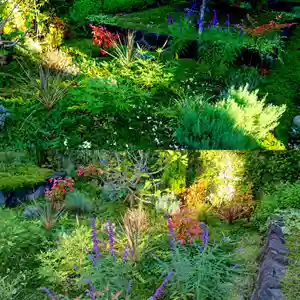 寿量山 速成寺(奈良県)(2021年10月01日(金) 17時02分42秒投稿)