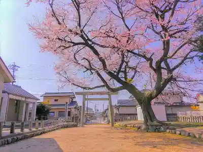 日吉社（加納）の自然