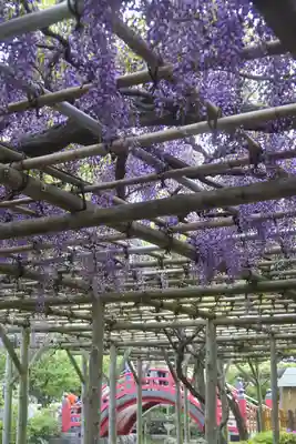 亀戸天神社(東京都)