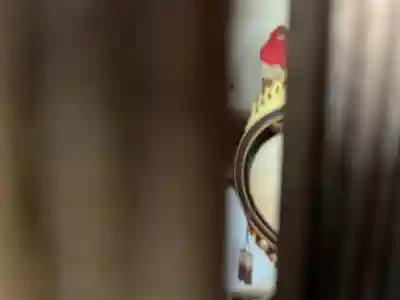 如意寺(愛知県)