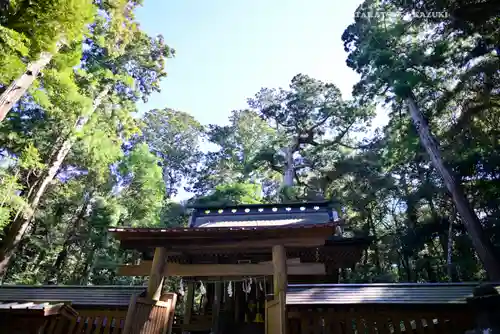 奥宮(鹿島神宮摂社)(茨城県)