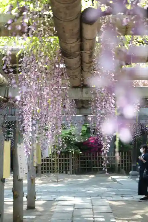 越ヶ谷久伊豆神社(埼玉県)