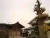 一言神社の自然