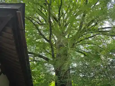 来迎院(奈良県)