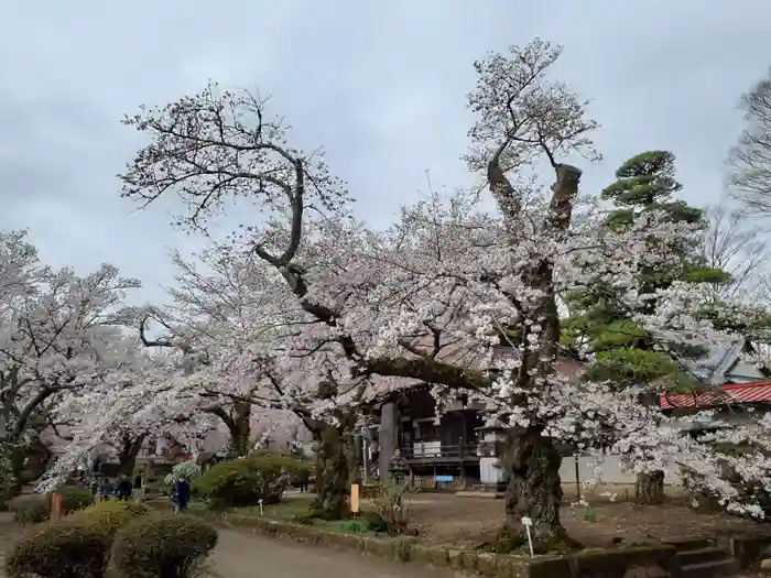 実相寺の本殿