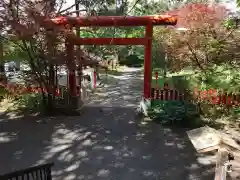 札幌伏見稲荷神社の鳥居