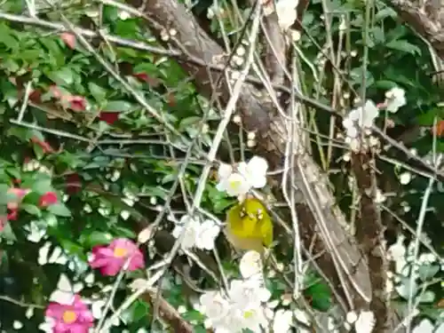 宗像神社の動物