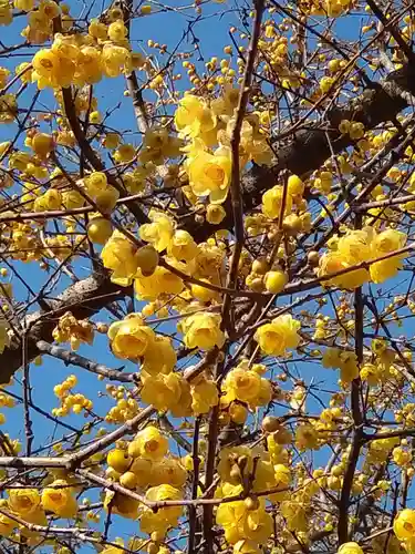横浜　西方寺の自然