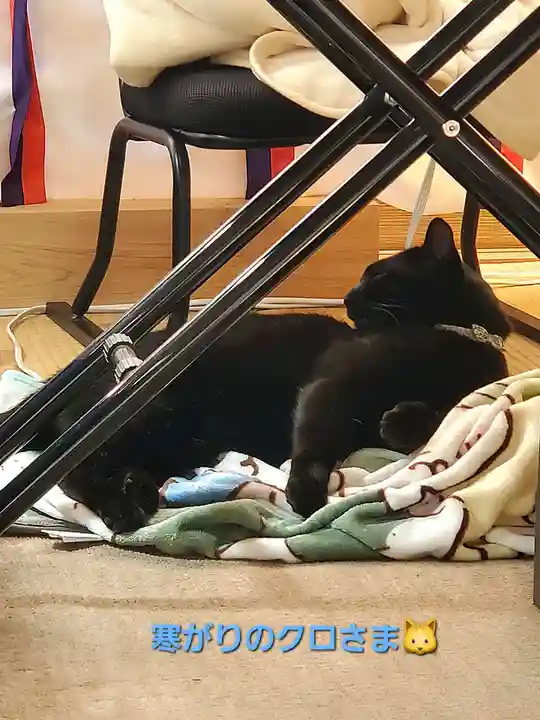 高司神社〜むすびの神の鎮まる社〜(福島県)