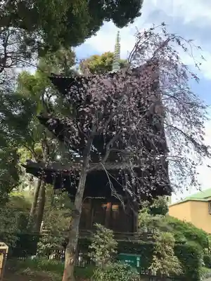 圓通閣(東京都)