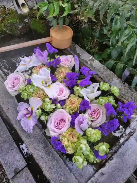 本郷氷川神社(東京都)