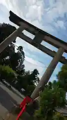 稗田野神社(薭田野神社)の鳥居