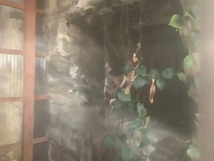 岩屋地蔵堂(千葉県)