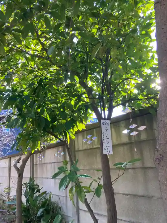 教善寺(神奈川県)