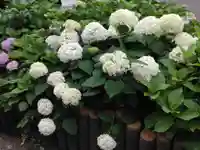 長遠寺(神奈川県)