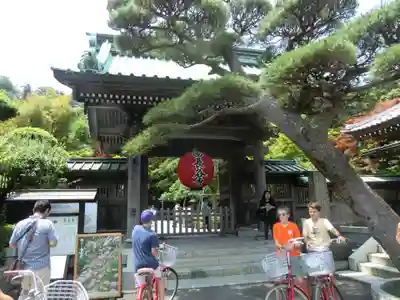 長谷寺の山門・神門