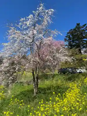 曹洞宗 永松山 龍泉寺の{uncategorized: "未分類", other: "その他", undefined: "問題あり", building: "その他建物", grave: "お墓", sacred_gate: "鳥居", guardian: "狛犬", statue: "像", buddha: "仏像", history: "歴史", nature: "自然", garden: "庭園", animal: "動物", pagoda: "塔", temizu: "手水舎", mountain_gate: "山門・神門", sanctuary: "本殿・本堂", subordinate: "末社・摂社", art: "芸術", scenery: "景色", jizo: "地蔵", ema: "絵馬", goshuin: "御朱印", omikuji: "おみくじ", items: "授与品その他", amulet: "お守り", goshuincho: "御朱印帳", eats: "食事", festival: "お祭り", votive_dance: "神楽", shichigosan: "七五三参", wedding: "結婚式", experience: "体験その他", initially: "初詣", around: "周辺", anti_infection: "感染症対策"}