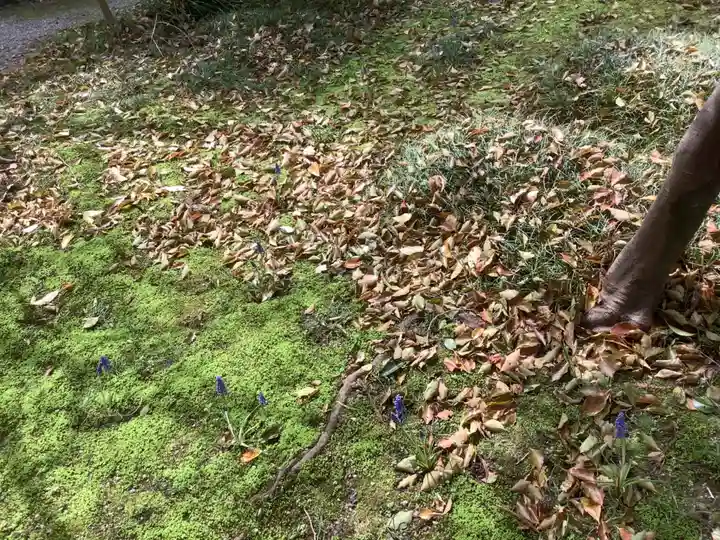 若宮神明社の庭園