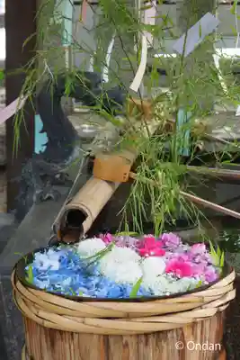 野見神社(大阪府)