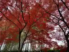 天龍寺(京都府)