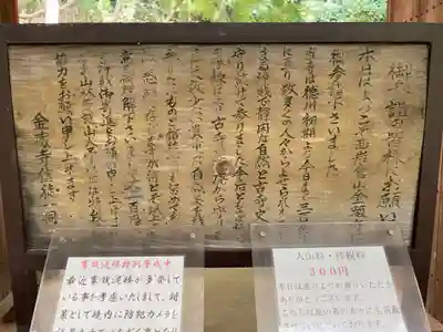 金蔵寺(京都府)