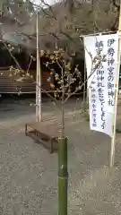 常陸第三宮　吉田神社の建物その他