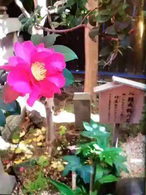 陽運寺(東京都)